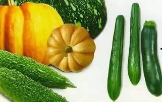 微信上的吃瓜,微信吃瓜背后的故事与真相