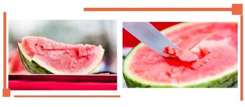 沙河幼儿吃瓜,夏日清凉趣味无限