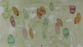 吃瓜短片有哪些,揭秘娱乐圈幕后故事