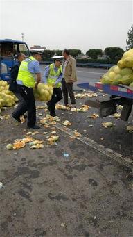 交警被吃瓜,交警遭遇“吃瓜群众”围观的幕后故事