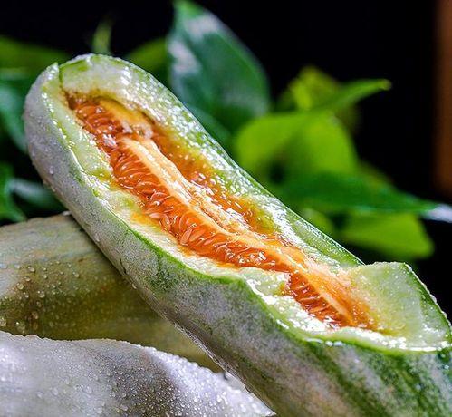 宝宝吃脆瓜文案,开启美味成长之旅！”