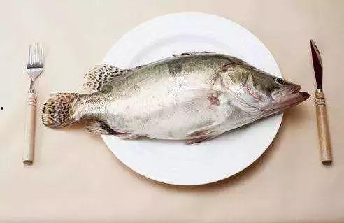 吃瓜少女鱼渣视频,一场网络热议背后的真相