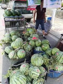 宝坻近期热门吃瓜事件视频,揭秘近期热门事件视频背后的真相