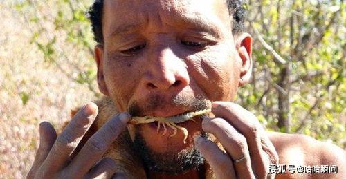 肥胖人敢吃田瓜吗视频,肥胖人群勇敢尝试的瘦身秘籍