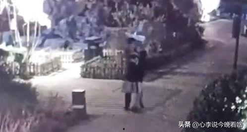 张北吃瓜事件真相视频播放,揭秘真相背后的惊人内幕