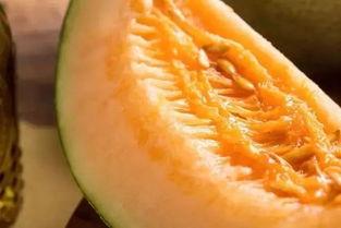 不熟蜜瓜怎么吃最好吃视频